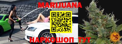 индика Абакан