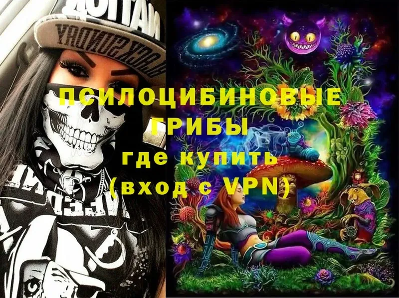 Псилоцибиновые грибы MAGIC MUSHROOMS  OMG ссылки  Алексеевка 