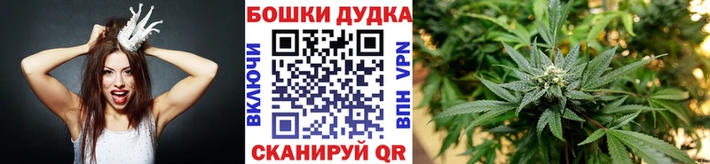 Каннабис OG Kush Алексеевка